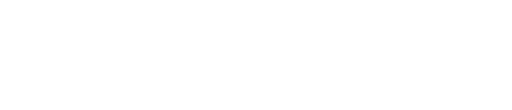Logo Toro Coffee